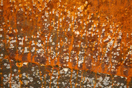 RustinBloom_3