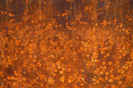 RustinBloom_7